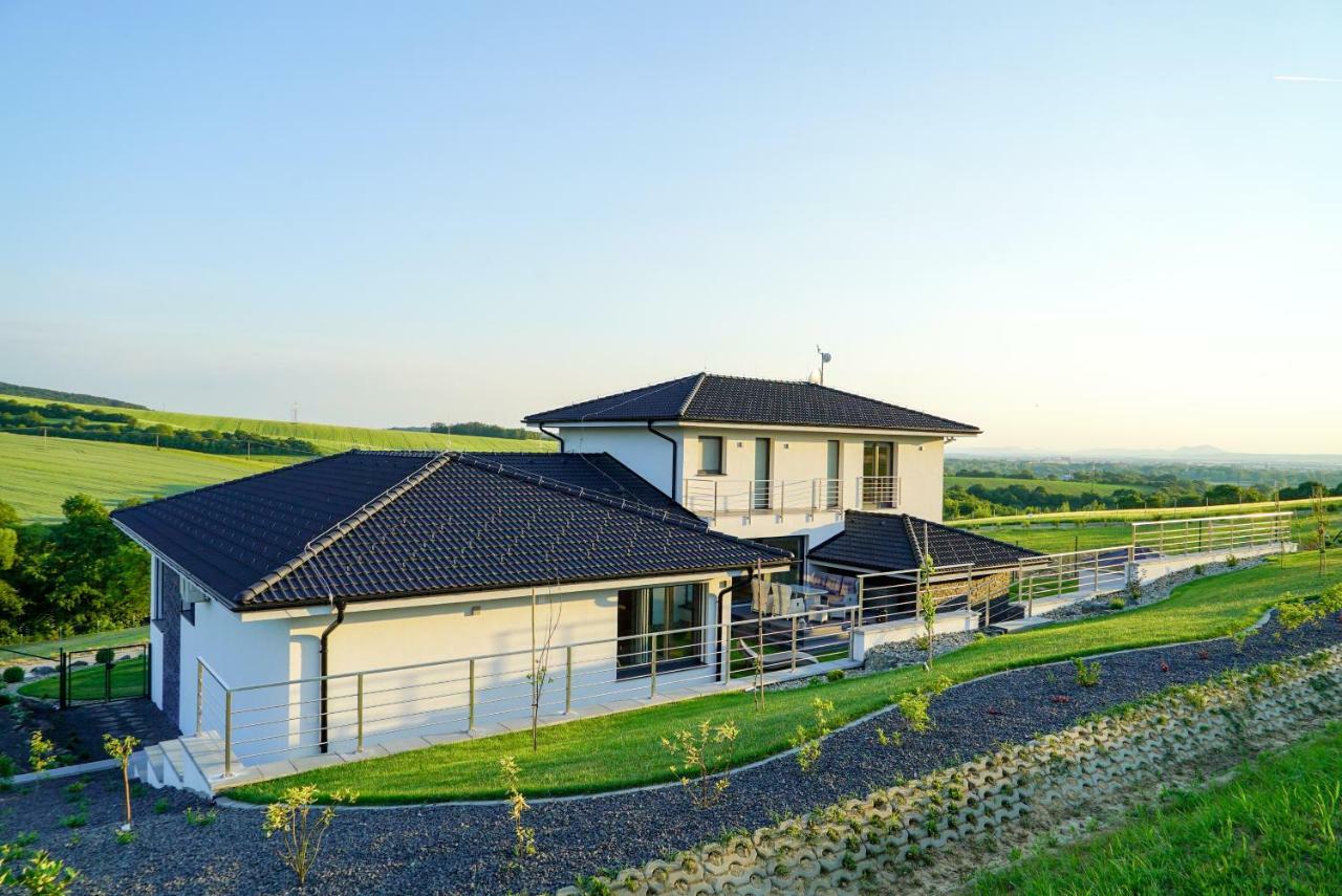 Luxury Villa Moravany nad Váhom エクステリア 写真