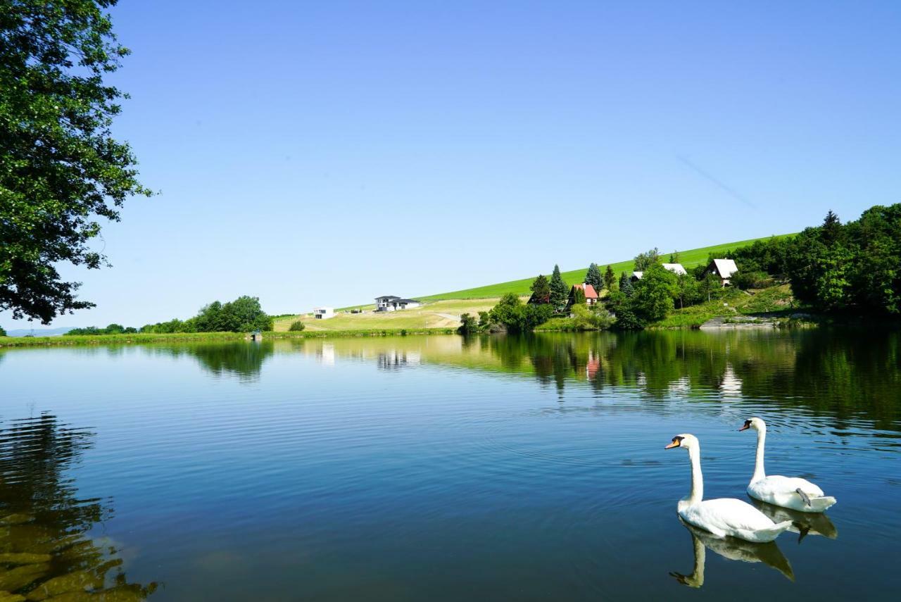 Luxury Villa Moravany nad Váhom エクステリア 写真